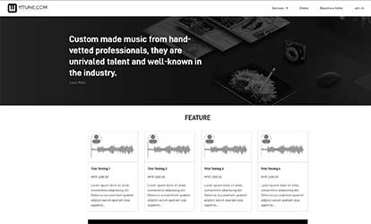 11 Tune music platform — SSW Solutions portfolio
